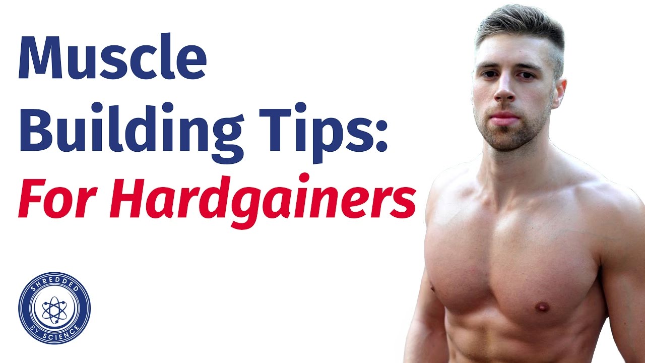 Muscle Building Tips For Hardgainers