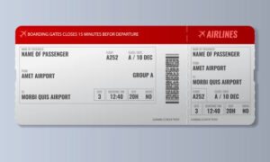 Fake flight Ticket